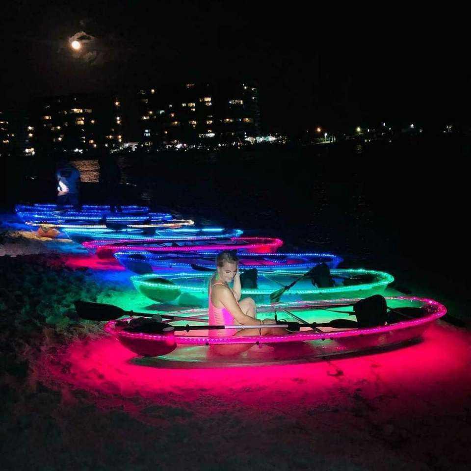 ROI of a Transparent Boat Fleet: A Resort Owner's Case Study